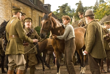 War Horse